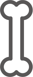 整形外科