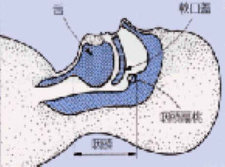 睡眠時無呼吸の原因としくみ