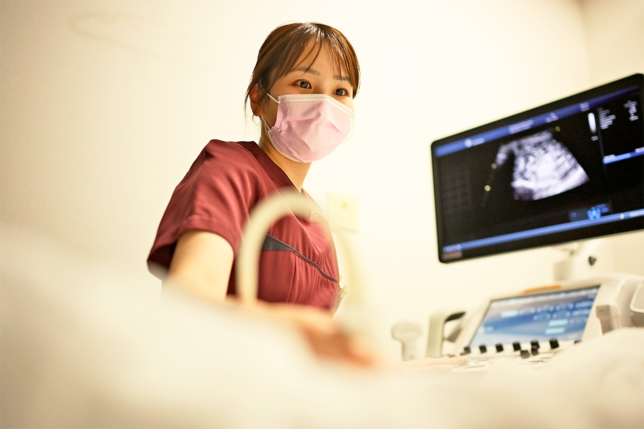 エコー検査（下肢静脈）